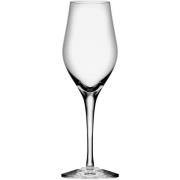 Orrefors Sense Champagneglass 25,5 cl, 6-pk