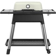 Everdure Gassgrill E2G2S force, matt stone