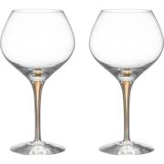 Orrefors Intermezzo Bouquet vinglass 70 cl, gull