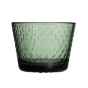 Iittala Tundra glass 16 cl, furugrønn, 2 stk