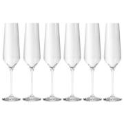 Eva Trio - Legio Nova champagneglass 26 cl 6 stk