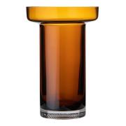 Kosta Boda - Limelight rosevase 23 cm amber