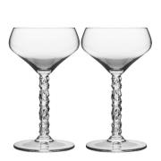 Orrefors - Carat champagne coupe 24 cl 2 stk