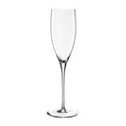 Leonardo - Poesia champagneglass 25 cl