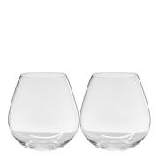 Riedel - O Wine pinot/nebbiolo 2 stk