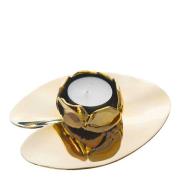 Hilke - Ninfea Piccola lysestake gull