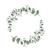 Ambiente - Serviett 33x33 cm 20 stk Eucalyptus Branche
