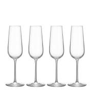 Orrefors - Balance champagneglass 21 cl 4 stk