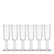 Stiernholm - Vera champagneglass 16 cl 6 stk klar