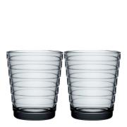 iittala - Aino Aalto glass 22 cl 2 stk grå