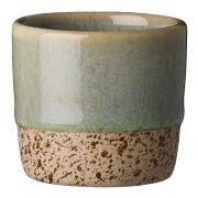 Aida - RAW Colour minikopp 5 cl Greenish