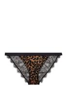 Wild Rose Truse Brief Truse Black Love Stories