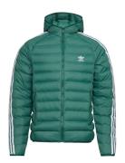 Pad Hooded Puff Fôret Jakke Green Adidas Originals