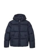 Puffer Winter Jacket With Hood Fôret Jakke Navy Tom Tailor