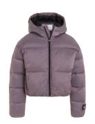 Hyper Two T Padded Bomber Fôret Jakke Purple Calvin Klein