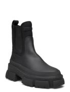 Triumphal Bootie Shoes Chelsea Boots Black Steve Madden