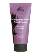 Maximum Shine Conditi R Soothing Lavender Conditi R Hår Conditi R Bals...