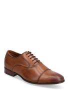 Albeck Shoes Business Laced Shoes ALDO