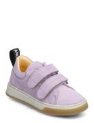 Shoes - Flat - With Velcro Lave Sneakers Purple ANGULUS