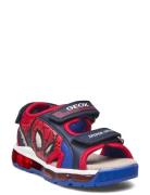 J Sandal Android Boy Shoes Summer Shoes Sandals Multi/patterned GEOX