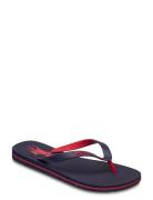 Bolt Pony Flip-Flop Flip-flopper Sandaler Blue Polo Ralph Lauren