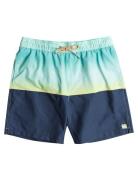 Fifty 50 Lb Badeshorts Navy Billabong