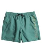 All Day Heritage Lb Badeshorts Green Billabong