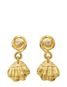 Conca Earring Øredobber Smykker Gold Maanesten