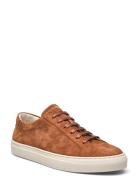 Jermain Suede Sneaker Lave Sneakers Brown Polo Ralph Lauren