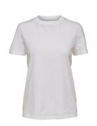 Slfmy Perfect Ss Tee Box Cut B Noos Tops T-shirts & Tops Short-sleeved...