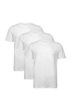 Bless 3 Pack Designers T-shirts Short-sleeved White Reiss