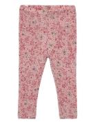 Wool Leggings Bottoms Leggings Pink Wheat