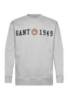 Crest C-Neck Tops Sweat-shirts & Hoodies Sweat-shirts Grey GANT