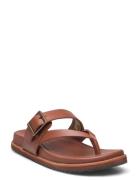 Sadie Flip Flate Sandaler Brown Kamik