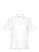 Katin-M Tops Shirts Short-sleeved White MbyM