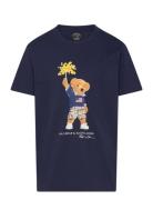 Polo Bear Cotton Jersey Tee Tops T-shirts Short-sleeved Blue Ralph Lau...