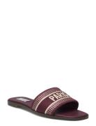 Knox Sandal Flate Sandaler Burgundy Steve Madden