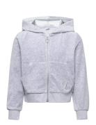 Sweatshirt Velour With Hoodie Tops Sweat-shirts & Hoodies Hoodies Grey...