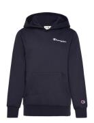 Hooded Sweatshirt Tops Sweat-shirts & Hoodies Hoodies Navy Champion