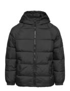 Hood Quilted Coat Fôret Jakke Black Mango