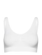 Bra Joy Seamless Top Lingerie Bras & Tops Soft Bras Tank Top Bras Whit...