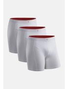 Men's Bamboo Trunks 3-Pack Sport Boxers White Danish Endurance