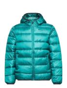 Hooded Jacket Sport Jackets & Coats Puffer & Padded Green Champion