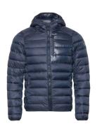 Hooded Jacket Sport Jackets Padded Jackets Navy Champion