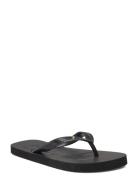 Flip Flop Shoes Summer Shoes Sandals Flip Flops Black Billi Bi