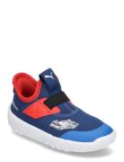 Bmw Mms Slipkart Ac Inf Sport Sneakers Low-top Sneakers Blue PUMA