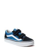 Uy Old Skool V Lave Sneakers Blue VANS