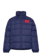 Puffer Jacket Fôret Jakke Blue Hugo Kids