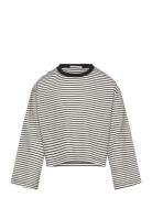 Cropped Striped Longsleeve Tops T-shirts Long-sleeved T-shirts Grey To...