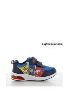 Paw Patrol Sneaker Lave Sneakers Blue Paw Patrol